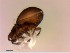  ( - OW-Silkeborg-35-1)  @11 [ ] CreativeCommons - Attribution Non-Commercial Share-Alike (2018) Unspecified Aarhus University