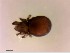  ( - OW-Silkeborg-35-2)  @11 [ ] CreativeCommons - Attribution Non-Commercial Share-Alike (2018) Unspecified Aarhus University