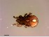  ( - OW-Silkeborg-35-3)  @11 [ ] CreativeCommons - Attribution Non-Commercial Share-Alike (2018) Unspecified Aarhus University