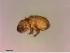  ( - OW-Silkeborg-35-4)  @11 [ ] CreativeCommons - Attribution Non-Commercial Share-Alike (2018) Unspecified Aarhus University