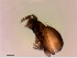  ( - OW-Silkeborg-35-5)  @11 [ ] CreativeCommons - Attribution Non-Commercial Share-Alike (2018) Unspecified Aarhus University