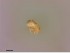  ( - STN-HO712-1)  @11 [ ] CreativeCommons - Attribution Non-Commercial Share-Alike (2018) Unspecified Aarhus University