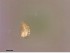  ( - STN-HO712-2)  @11 [ ] CreativeCommons - Attribution Non-Commercial Share-Alike (2018) Unspecified Aarhus University