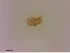  ( - STN-HO712-3)  @11 [ ] CreativeCommons - Attribution Non-Commercial Share-Alike (2018) Unspecified Aarhus University