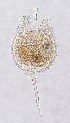  ( - ECOCHZ-AG0473)  @13 [ ] Unspecified (default): All Rights Reserved  Unspecified Unspecified