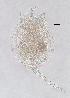  ( - ECOCHZ-AG0859)  @13 [ ] Unspecified (default): All Rights Reserved  Unspecified Unspecified