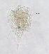  ( - ECOCHZ-AG0883)  @12 [ ] Unspecified (default): All Rights Reserved  Unspecified Unspecified