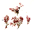 ( - SCL17144)  @11 [ ] CreativeCommons - Attribution No Derivatives (2017) Sandra C. Lindstrom University of British Columbia