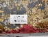  ( - BHAK-11326)  @11 [ ] CreativeCommons Attribution Non-Commercial No Derivatives (2020) Hakai Institute Hakai Institute
