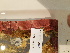  ( - BHAK-11325)  @11 [ ] CreativeCommons Attribution Non-Commercial No Derivatives (2020) Hakai Institute Hakai Institute