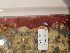  ( - BHAK-11323)  @11 [ ] CreativeCommons Attribution Non-Commercial No Derivatives (2020) Hakai Institute Hakai Institute