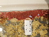  ( - BHAK-11323)  @11 [ ] CreativeCommons Attribution Non-Commercial No Derivatives (2020) Hakai Institute Hakai Institute