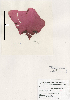  ( - SCL11715)  @11 [ ] Unspecified (default): All Rights Reserved  Sandra C. Lindstrom Unspecified