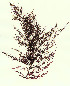  ( - SCL10662)  @11 [ ] CreativeCommons Attribution Non-Commercial No Derivatives (2019) Sandra Lindstrom University of British Columbia