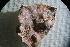  ( - PTM-1659)  @11 [ ] CreativeCommons - Attribution No Derivatives (2017) Patrick T. Martone University of British Columbia