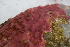  ( - PTM-1661)  @11 [ ] CreativeCommons - Attribution No Derivatives (2017) Patrick T. Martone University of British Columbia