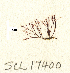  ( - SCL17400)  @11 [ ] CreativeCommons - Attribution No Derivatives (2018) Sandra Lindstrom UBC