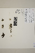  ( - SCL 15183)  @11 [ ] CreativeCommons Attribution Non-Commercial No Derivatives (2021) Sandra C. Lindstrom University of British Columbia