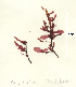  ( - SCL17586)  @11 [ ] CreativeCommons Attribution Non-Commercial No Derivatives (2019) Sandra Lindstrom University of British Columbia