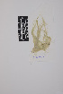  ( - SCL 16577)  @11 [ ] CreativeCommons Attribution Non-Commercial No Derivatives (2021) Sandra C. Lindstrom University of British Columbia