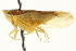  ( - CNC#HEM402183)  @11 [ ] CreativeCommons - Attribution (2012) CBG Photography Group Centre for Biodiversity Genomics