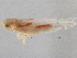  ( - CNC#HEM305476)  @11 [ ] CreativeCommons - Attribution (2013) CBG Photography Group Centre for Biodiversity Genomics