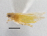  ( - CNC#HEM305483)  @13 [ ] CreativeCommons - Attribution (2013) CBG Photography Group Centre for Biodiversity Genomics