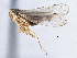  ( - CNC#HEM305637)  @12 [ ] CreativeCommons - Attribution (2014) CBG Photography Group Centre for Biodiversity Genomics