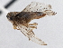  ( - CNC#HEM305690)  @14 [ ] CreativeCommons - Attribution (2013) CBG Photography Group Centre for Biodiversity Genomics