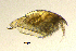  ( - BarCrust 11)  @11 [ ] CreativeCommons - Attribution Non-Commercial Share-Alike (2015) A. Hobæk Norwegian Institute for Water Research