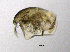  ( - BarCrust 132)  @11 [ ] CreativeCommons - Attribution Non-Commercial Share-Alike (2015) A. Hobæk Norwegian Institute for Water Research