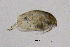  ( - BarCrust 139)  @11 [ ] CreativeCommons - Attribution Non-Commercial Share-Alike (2015) A. Hobæk Norwegian Institute for Water Research