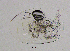  ( - BarCrust 145)  @12 [ ] CreativeCommons - Attribution Non-Commercial Share-Alike (2015) A. Hobæk Norwegian Institute for Water Research