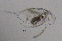  ( - BarCrust 146)  @11 [ ] CreativeCommons - Attribution Non-Commercial Share-Alike (2015) A. Hobæk Norwegian Institute for Water Research