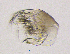  ( - BarCrust 148)  @11 [ ] CreativeCommons - Attribution Non-Commercial Share-Alike (2015) A. Hobæk Norwegian Institute for Water Research