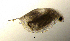  ( - BarCrust 15)  @11 [ ] CreativeCommons - Attribution Non-Commercial Share-Alike (2015) A. Hobæk Norwegian Institute for Water Research