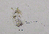  ( - BarCrust 156)  @11 [ ] CreativeCommons - Attribution Non-Commercial Share-Alike (2015) A. Hobæk Norwegian Institute for Water Research