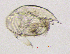  ( - BarCrust 159)  @11 [ ] CreativeCommons - Attribution Non-Commercial Share-Alike (2015) A. Hobæk Norwegian Institute for Water Research