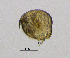  ( - BarCrust 163)  @11 [ ] CreativeCommons - Attribution Non-Commercial Share-Alike (2015) A. Hobæk Norwegian Institute for Water Research