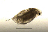  ( - BarCrust 18)  @11 [ ] CreativeCommons - Attribution Non-Commercial Share-Alike (2015) A. Hobæk Norwegian Institute for Water Research