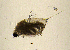  ( - BarCrust 19)  @11 [ ] CreativeCommons - Attribution Non-Commercial Share-Alike (2015) A. Hobæk Norwegian Institute for Water Research