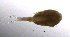  ( - BarCrust 223)  @11 [ ] CreativeCommons - Attribution Non-Commercial Share-Alike (2015) A. Hobæk Norwegian Institute for Water Research