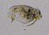  ( - BarCrust 241)  @11 [ ] CreativeCommons - Attribution Non-Commercial Share-Alike (2015) A. Hobæk Norwegian Institute for Water Research