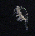  ( - BarCrust 259)  @11 [ ] CreativeCommons - Attribution Non-Commercial Share-Alike (2015) A. Hobæk Norwegian Institute for Water Research