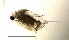  ( - BarCrust 26)  @11 [ ] CreativeCommons - Attribution Non-Commercial Share-Alike (2015) A. Hobæk Norwegian Institute for Water Research