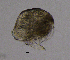  ( - BarCrust 261)  @11 [ ] CreativeCommons - Attribution Non-Commercial Share-Alike (2015) A. Hobæk Norwegian Institute for Water Research