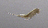  ( - BarCrust 298)  @11 [ ] CreativeCommons - Attribution Non-Commercial Share-Alike (2015) A. Hobæk Norwegian Institute for Water Research