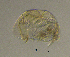  ( - BarCrust 30)  @11 [ ] CreativeCommons - Attribution Non-Commercial Share-Alike (2015) A. Hobæk Norwegian Institute for Water Research