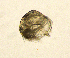  ( - BarCrust 34)  @11 [ ] CreativeCommons - Attribution Non-Commercial Share-Alike (2015) A. Hobæk Norwegian Institute for Water Research