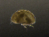  ( - BarCrust 375)  @11 [ ] CreativeCommons - Attribution Non-Commercial Share-Alike (2015) A. Hobæk Norwegian Institute for Water Research